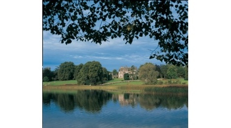 Castle Leslie image